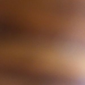 Meet your Posher, Billy